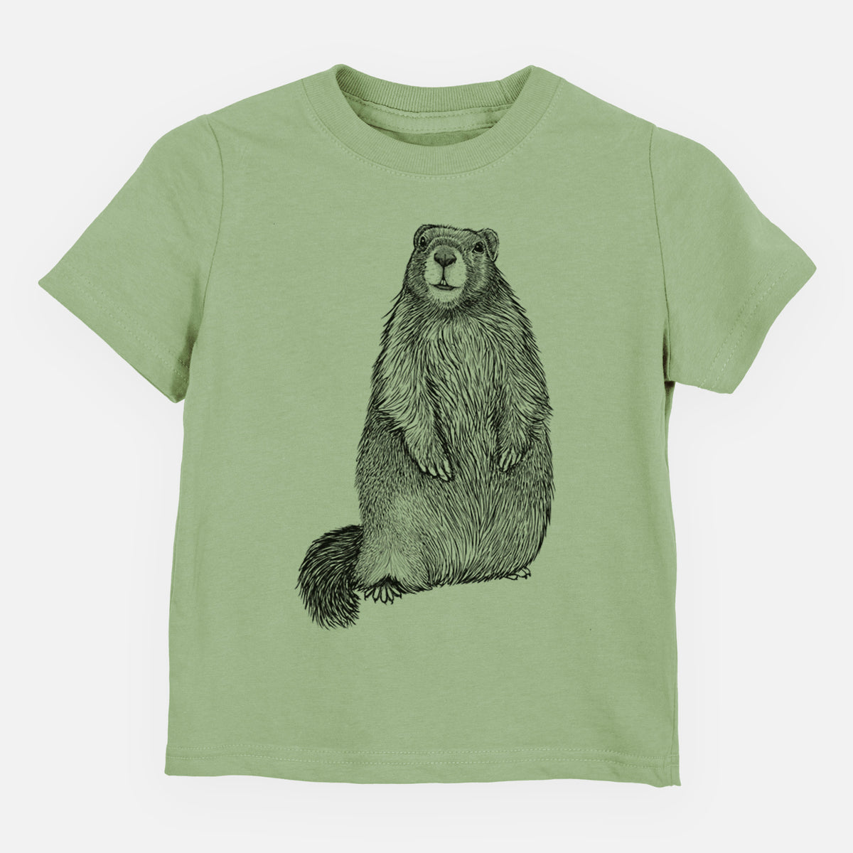 Sage green toddler t-shirt laid flat, printed with a detailed black ink illustration of a marmot standing upright.