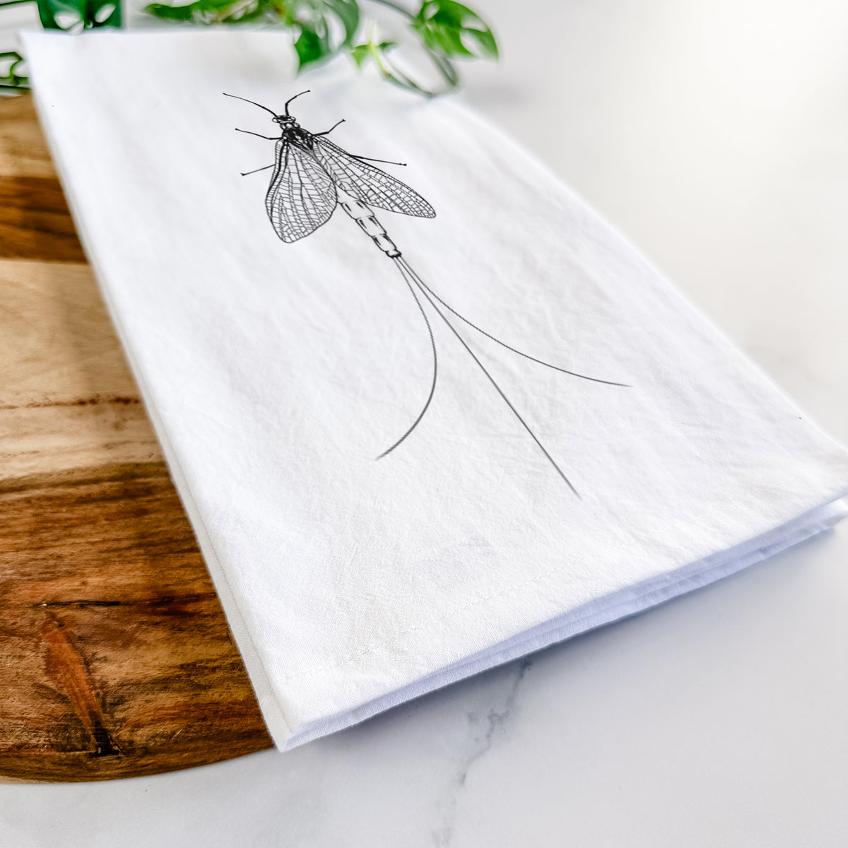 Close-up of a folded white tea towel on a wooden board, showing a detailed black ink illustration of a mayfly with its wings raised and long tail filaments.