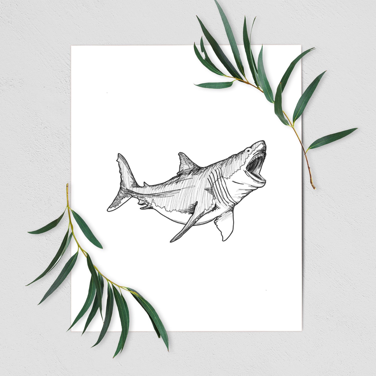 Art print of a black ink illustration of a megalodon shark with its jaws open, shown with eucalyptus leaves.