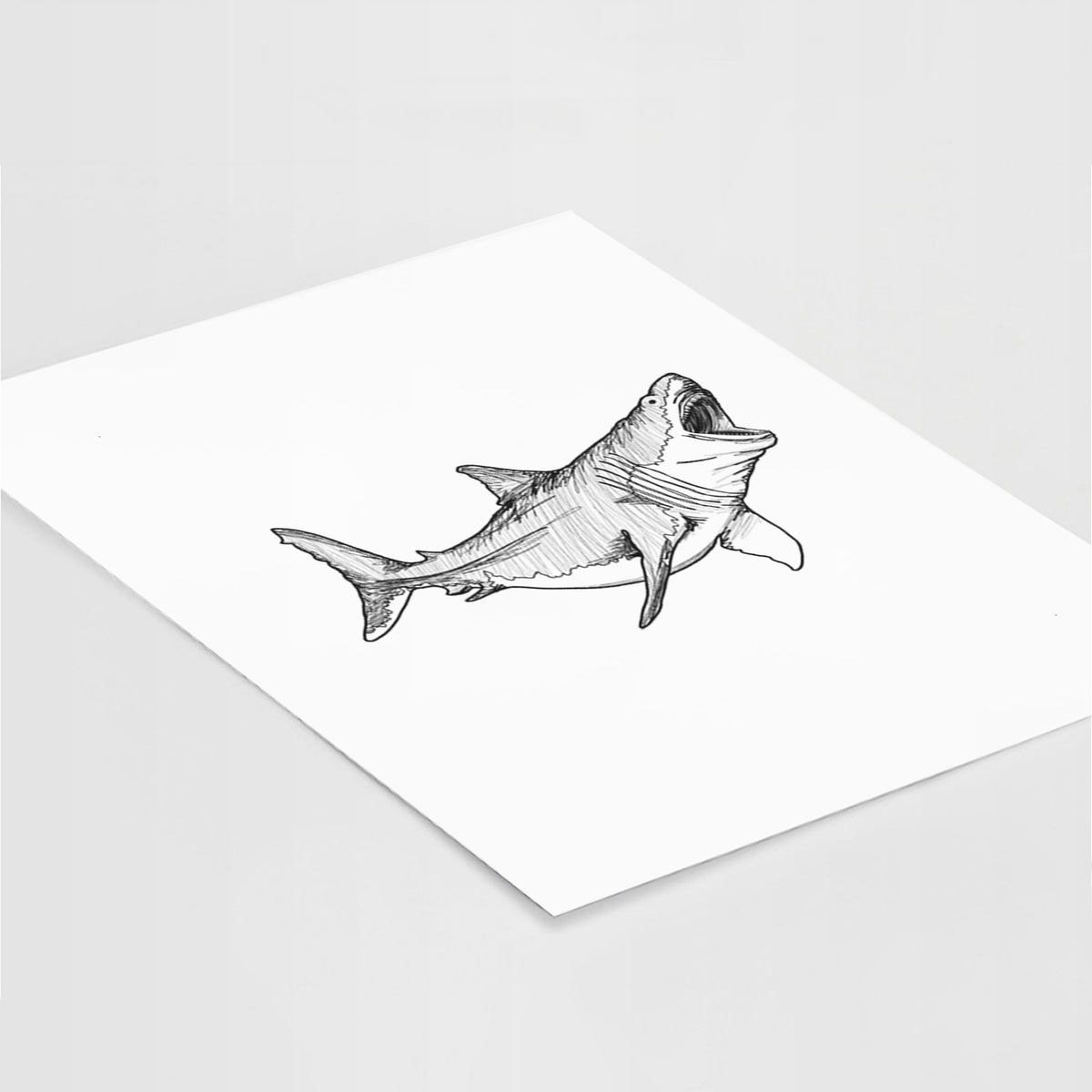 Art print of a black ink illustration of a megalodon shark with its jaws open, lying at an angle on a white surface.