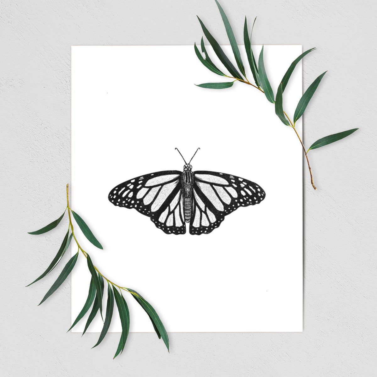 Art print of a detailed black ink illustration of a monarch butterfly with its wings spread, shown with eucalyptus leaves.