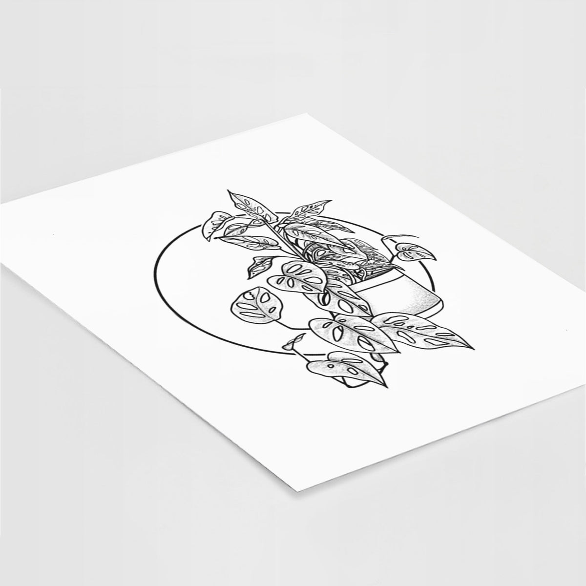Art print of a black ink illustration of a potted Monsteradansonii plant with trailing vines in front of a circle, lying at an angle on a white surface.