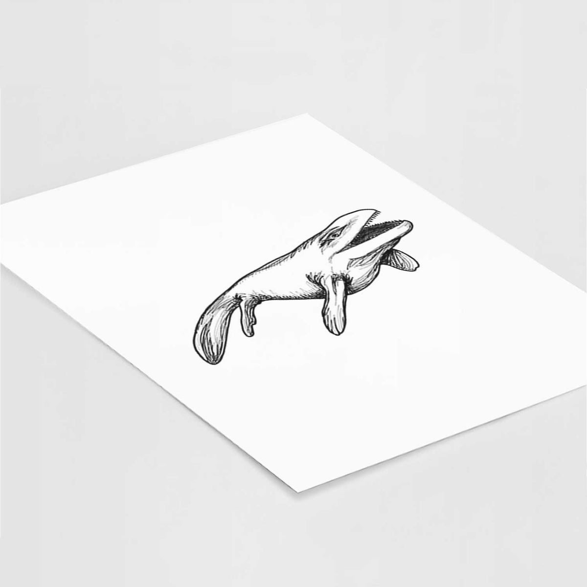 Art print of a black ink illustration of a Mosasaur swimming, lying at an angle on a white surface.