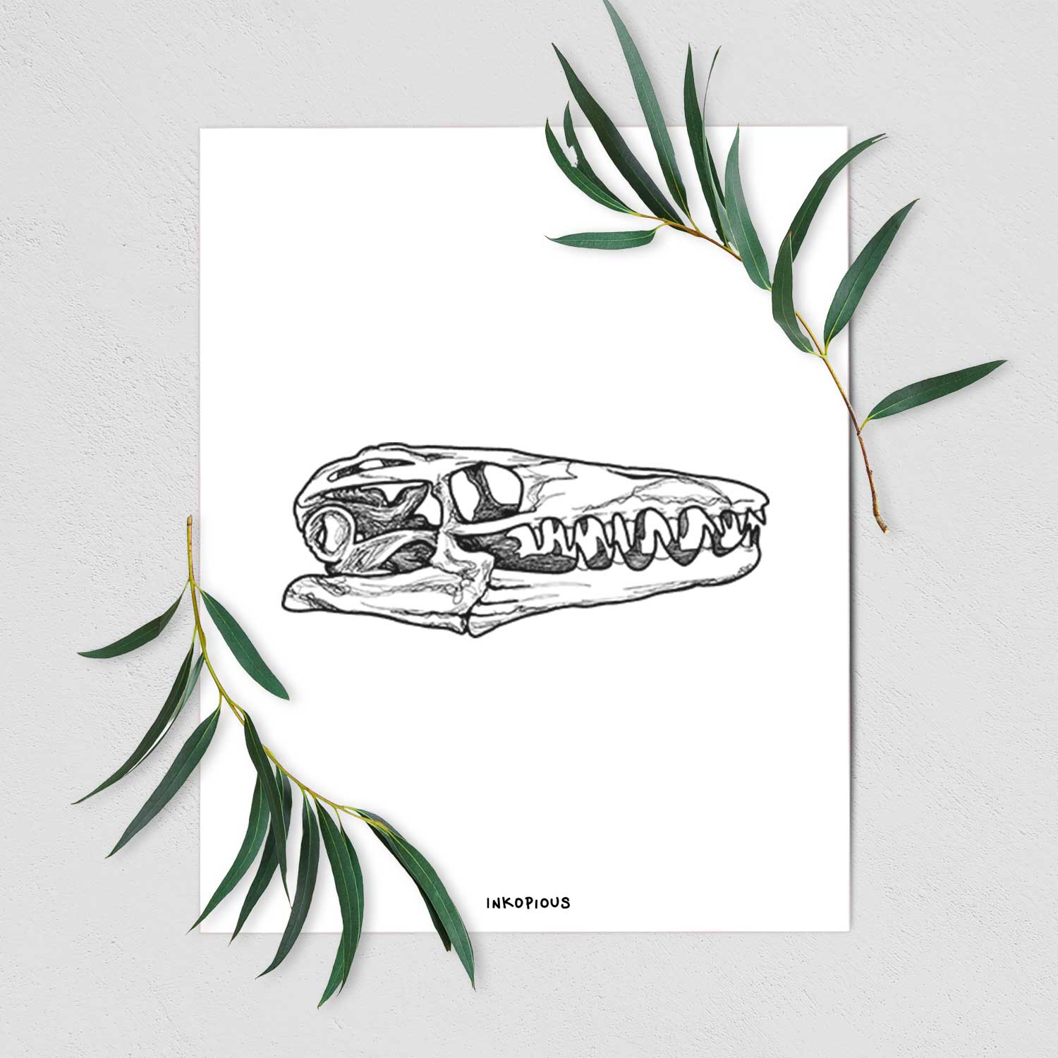 Art print of a detailed black ink illustration of a Mosasaur skull, shown with eucalyptus leaves.