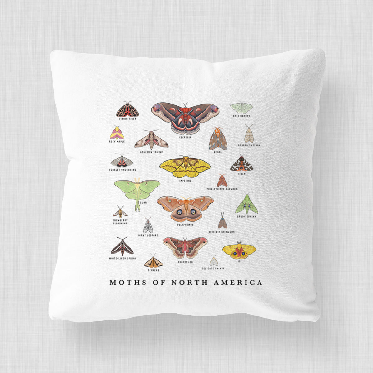 White pillow cover printed with a full-color chart of North American moths, each labeled with its species.