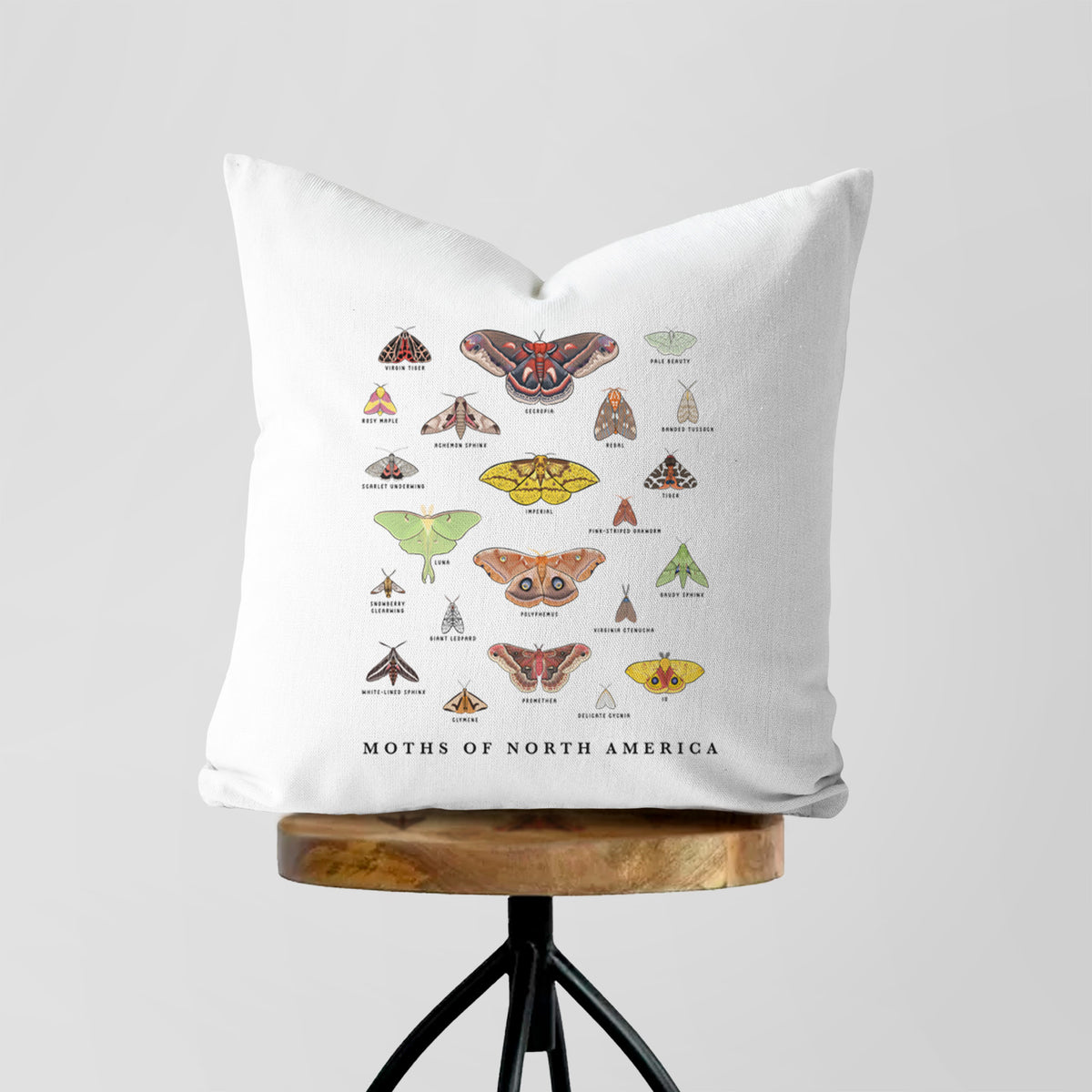 White pillow cover printed with a full-color chart of North American moths, each labeled with its species, on a wooden stool.