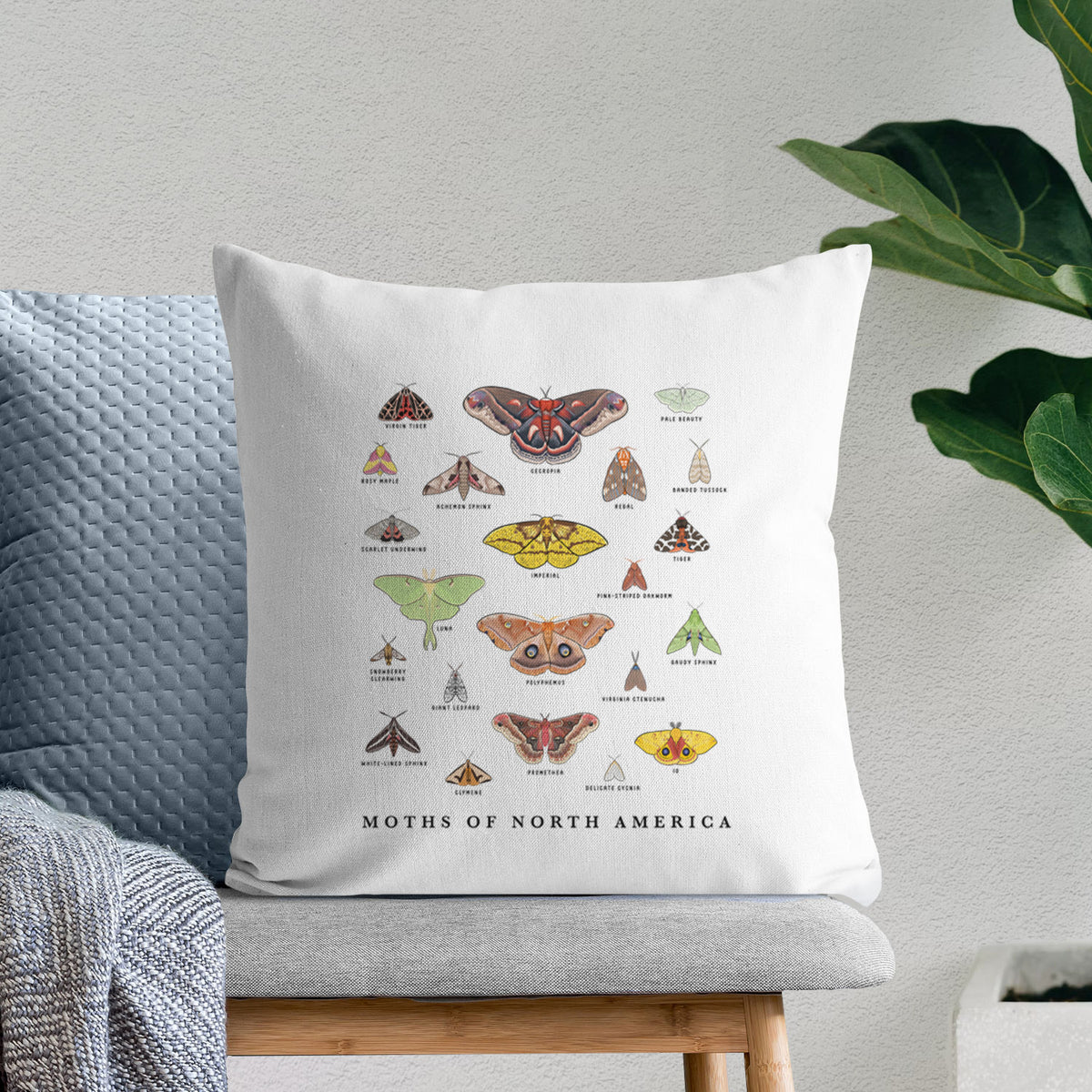 White pillow cover printed with a full-color chart of North American moths, each labeled with its species, on a bench beside plants.