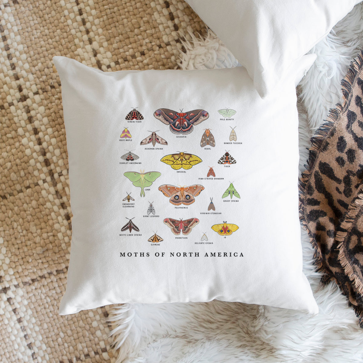 White pillow cover printed with a full-color chart of North American moths, each labeled with its species, on a woven chair.