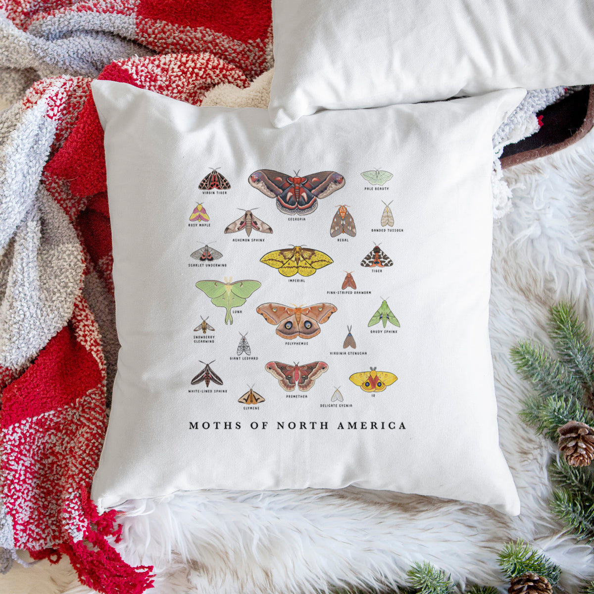 White pillow cover printed with a full-color chart of North American moths, each labeled with its species, on a woven chair.