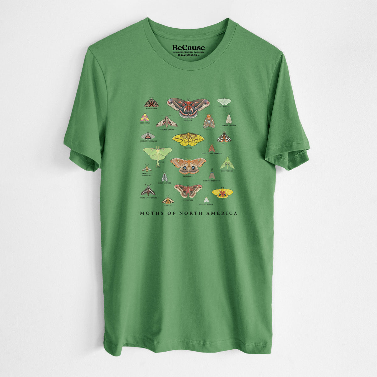 Leaf green lightweight cotton t-shirt laid flat, printed with a full-color chart of North American moths, each labeled with its species.