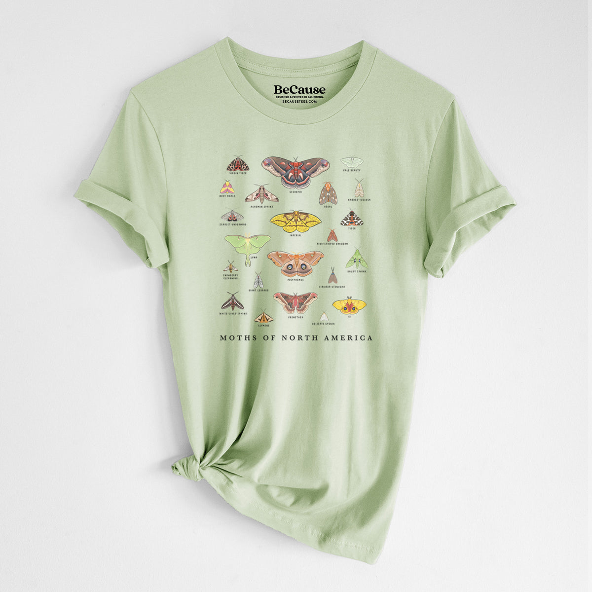 Spring green lightweight cotton t-shirt laid flat with the sleeves rolled, printed with a full-color chart of North American moths, each labeled with its species.