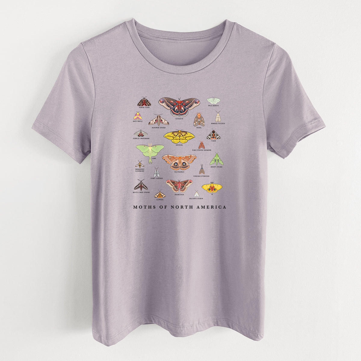 Light violet women's relaxed fit cotton t-shirt laid flat, printed with a full-color chart of North American moths, each labeled with its species.