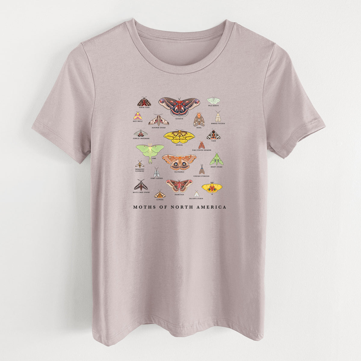 Pink gravel women's relaxed fit cotton t-shirt laid flat, printed with a full-color chart of North American moths, each labeled with its species.
