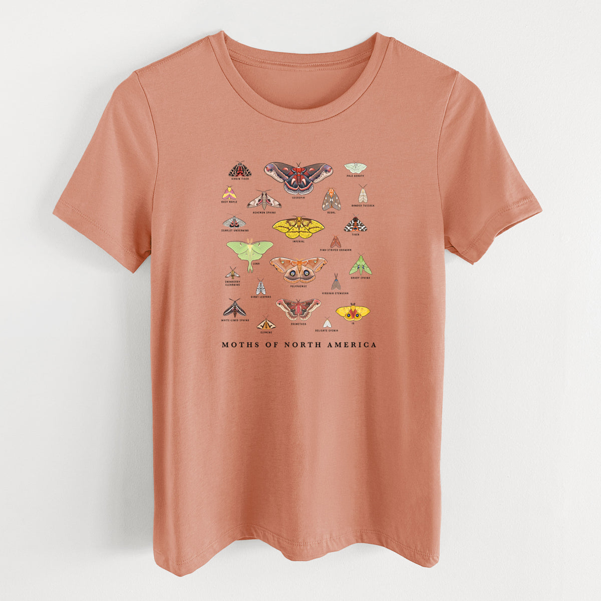 Terracotta orange women's relaxed fit cotton t-shirt laid flat, printed with a full-color chart of North American moths, each labeled with its species.