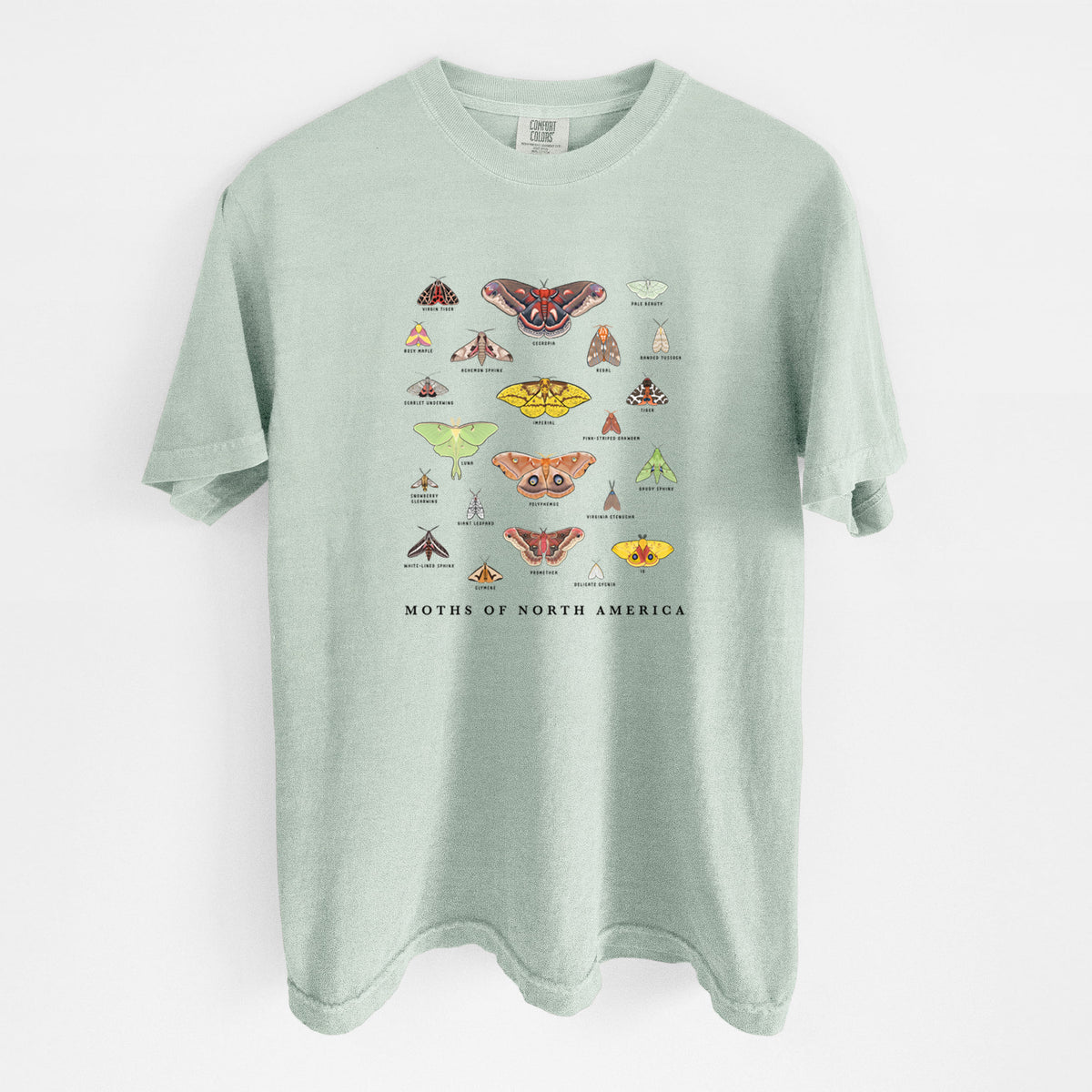 Bay green Comfort Colors t-shirt laid flat, printed with a full-color chart of North American moths, each labeled with its species.