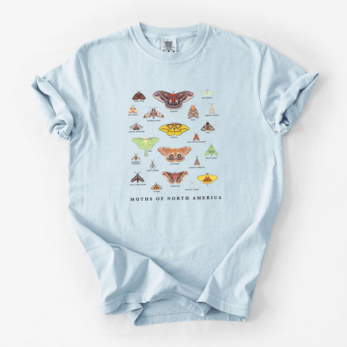 Chambray blue Comfort Colors t-shirt laid flat, printed with a full-color chart of North American moths, each labeled with its species.