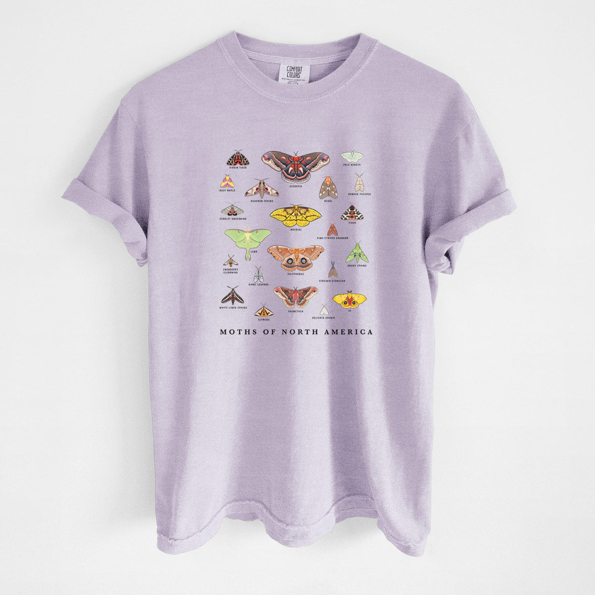 Orchid purple Comfort Colors t-shirt laid flat, printed with a full-color chart of North American moths, each labeled with its species.