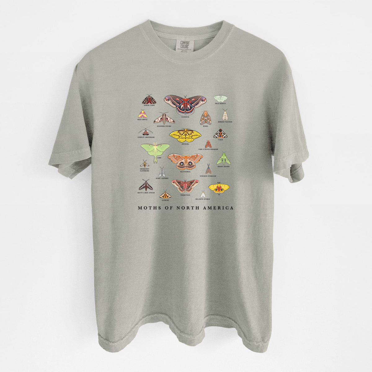 Sandstone beige Comfort Colors t-shirt laid flat, printed with a full-color chart of North American moths, each labeled with its species.