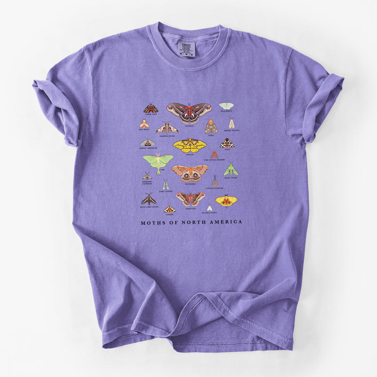 Violet purple Comfort Colors t-shirt laid flat, printed with a full-color chart of North American moths, each labeled with its species.