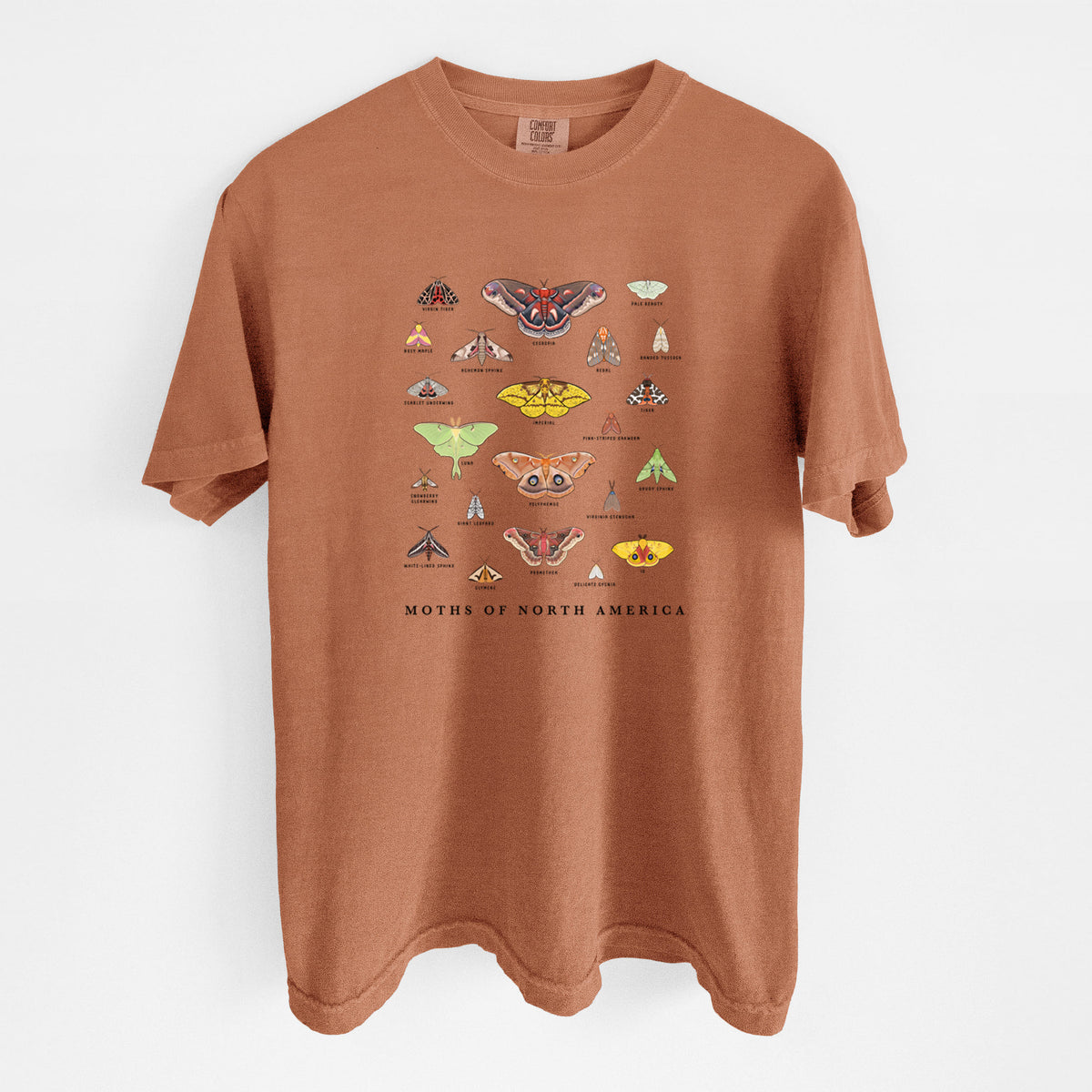Yam burnt orange Comfort Colors t-shirt laid flat, printed with a full-color chart of North American moths, each labeled with its species.