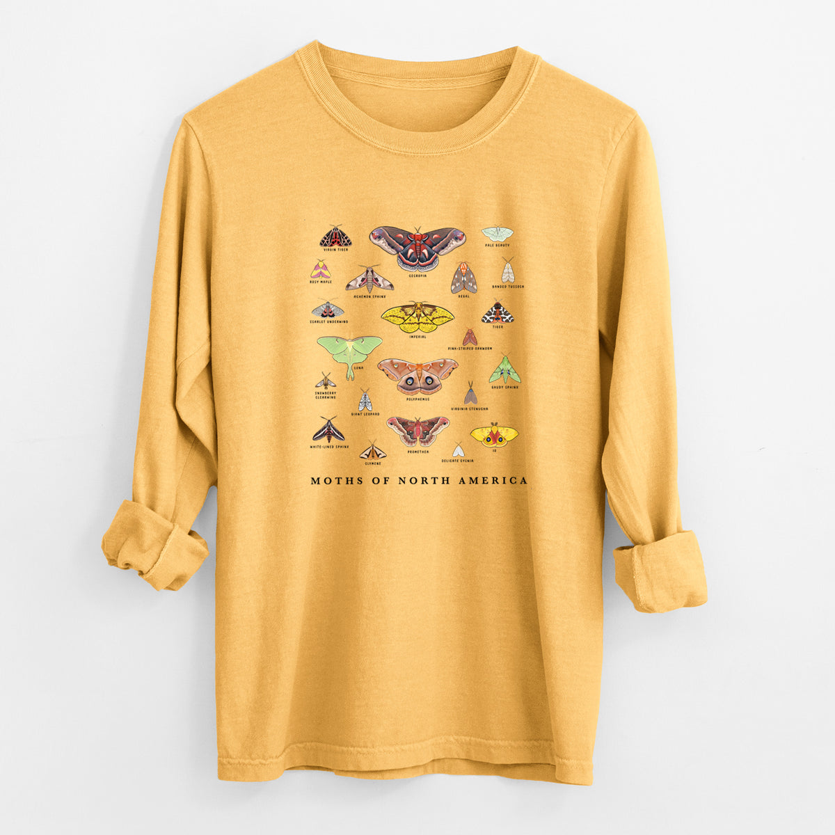 Golden wheat yellow Comfort Colors long sleeve shirt laid flat with the cuffs rolled, printed with a full-color chart of North American moths, each labeled with its species.