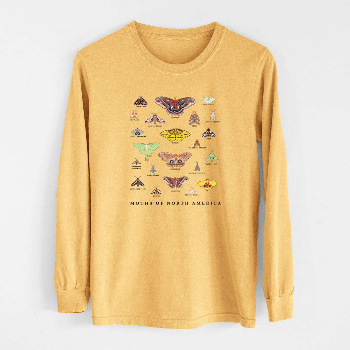 Golden wheat yellow Comfort Colors long sleeve shirt laid flat, printed with a full-color chart of North American moths, each labeled with its species.