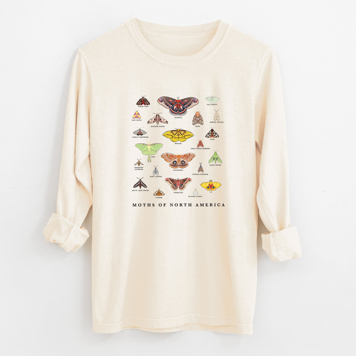 Ivory Comfort Colors long sleeve shirt laid flat with the cuffs rolled, printed with a full-color chart of North American moths, each labeled with its species.