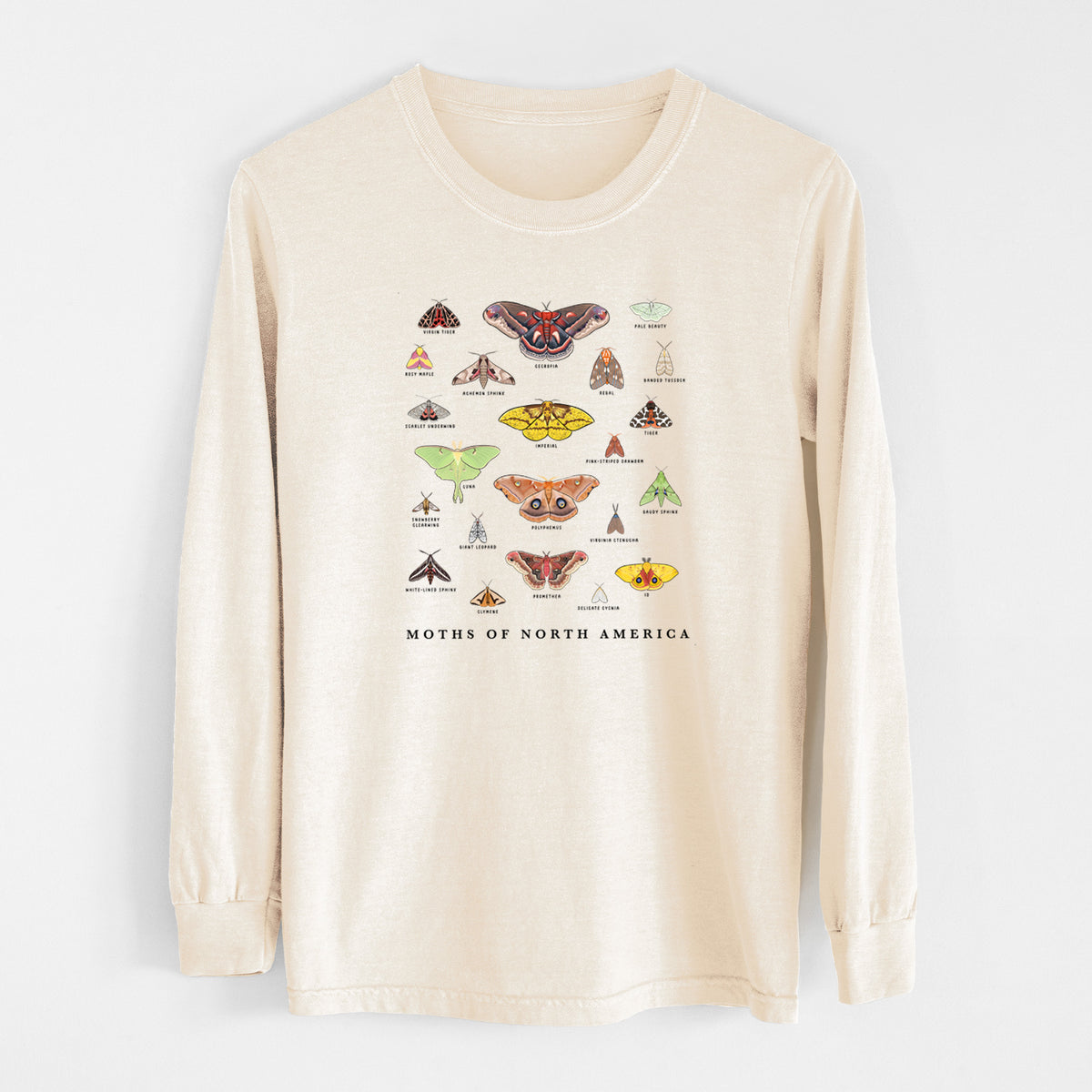 Ivory Comfort Colors long sleeve shirt laid flat, printed with a full-color chart of North American moths, each labeled with its species.