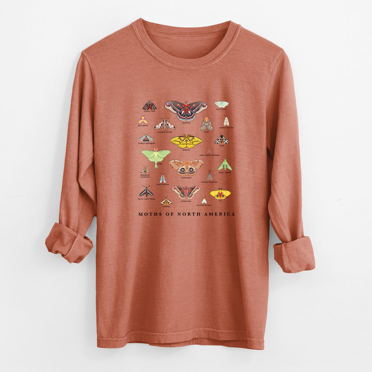 Yam burnt orange Comfort Colors long sleeve shirt laid flat with the cuffs rolled, printed with a full-color chart of North American moths, each labeled with its species.