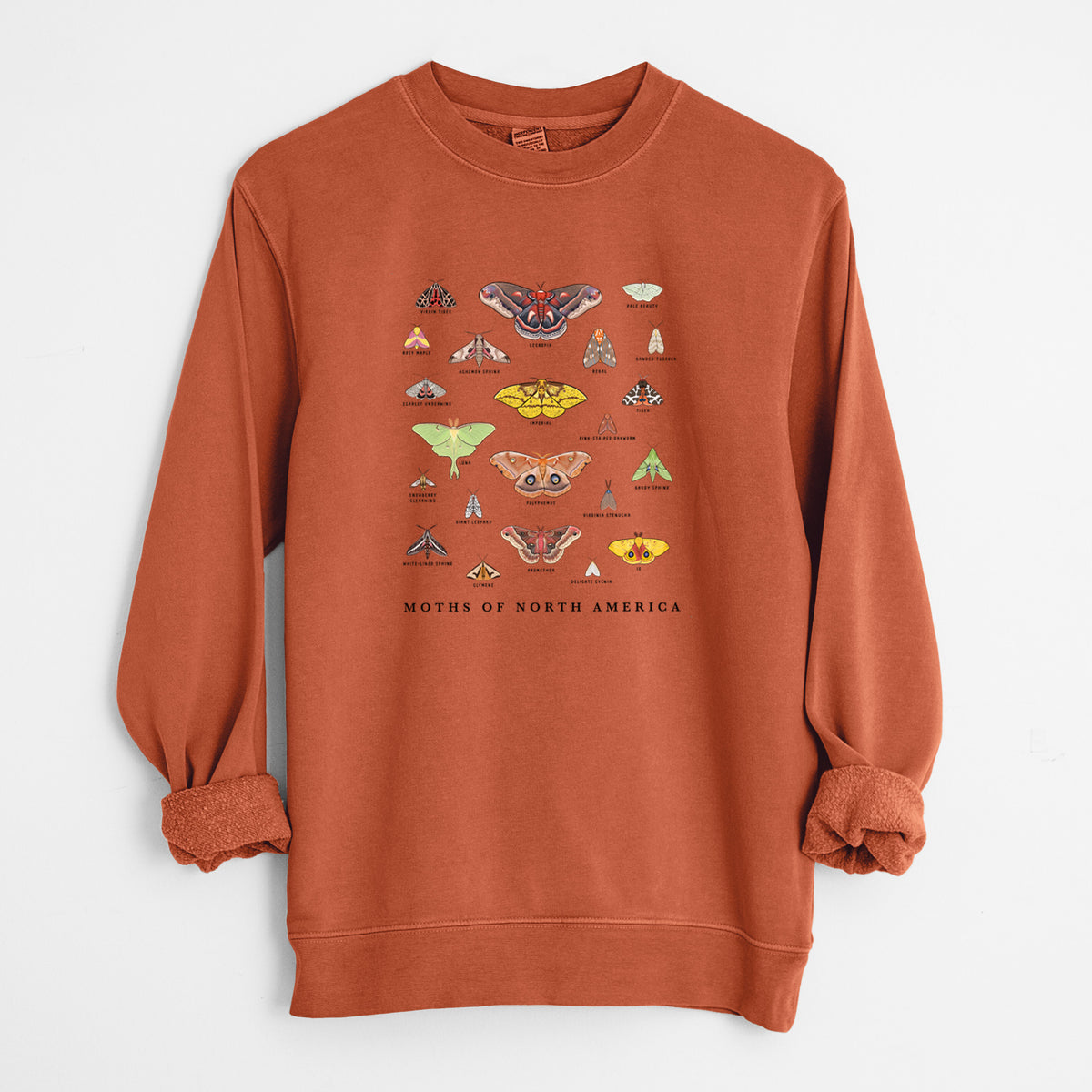 Amber orange pigment dyed crewneck sweatshirt laid flat with the sleeves rolled, printed with a full-color chart of North American moths, each labeled with its species.