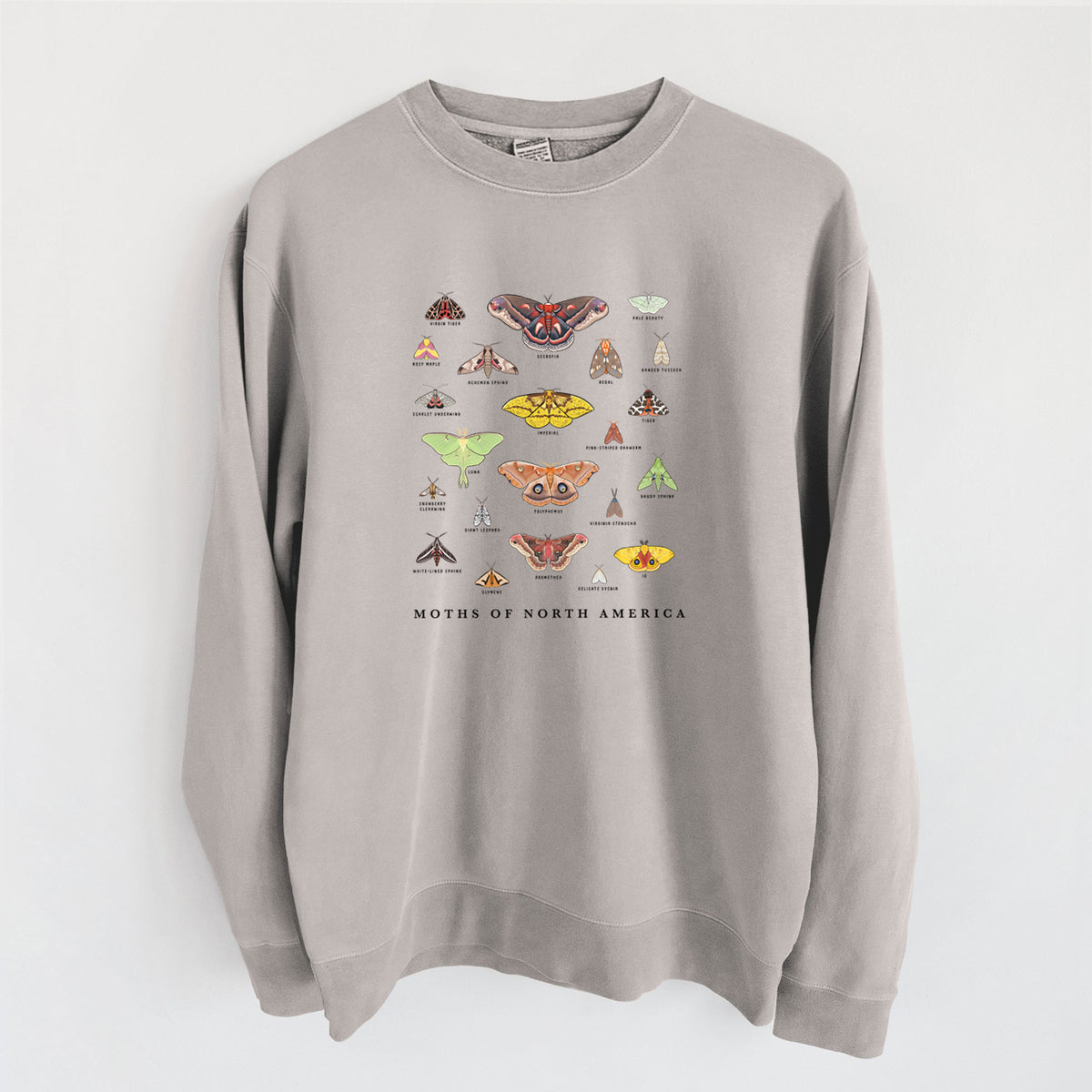 Moths of North America - Unisex Pigment Dyed Crew Sweatshirt in Cement