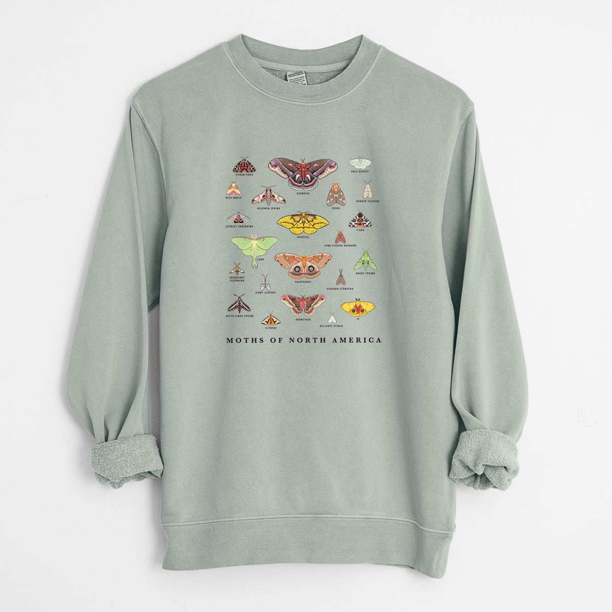Moths of North America - Unisex Pigment Dyed Crew Sweatshirt in Sage