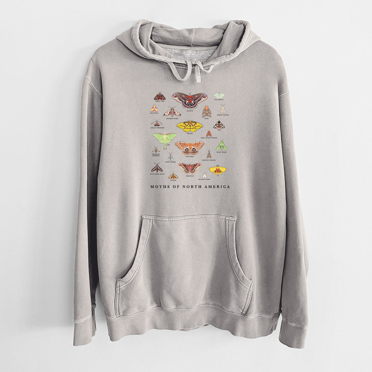 Cement grey pigment dyed hoodie laid flat, printed with a full-color chart of North American moths, each labeled with its species.