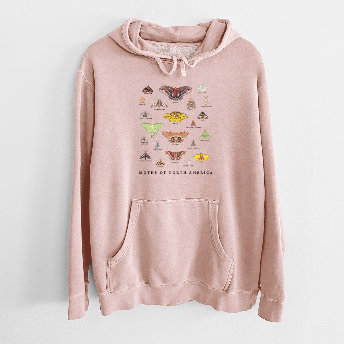 Dusty pink pigment dyed hoodie laid flat, printed with a full-color chart of North American moths, each labeled with its species.