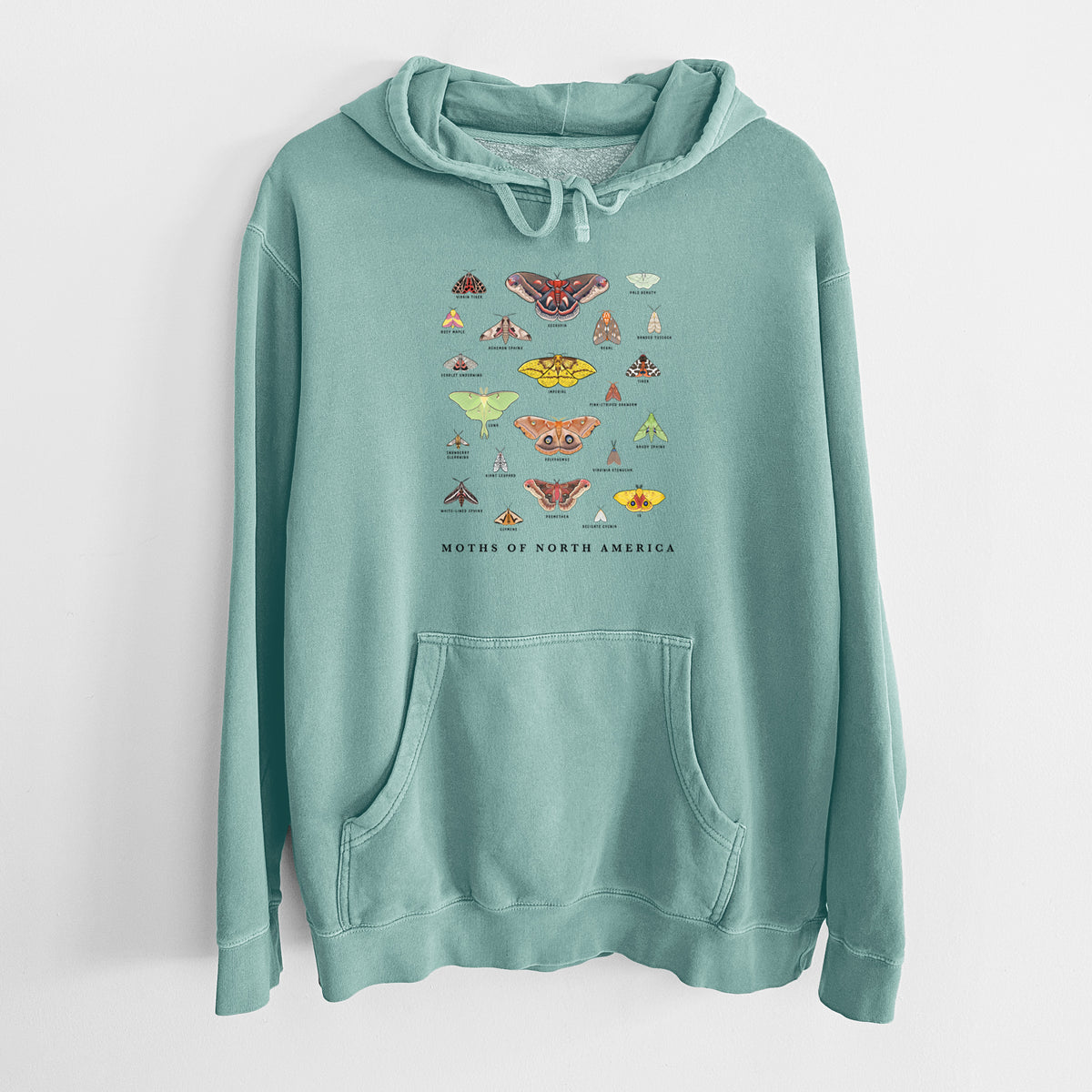Mint green pigment dyed hoodie laid flat, printed with a full-color chart of North American moths, each labeled with its species.