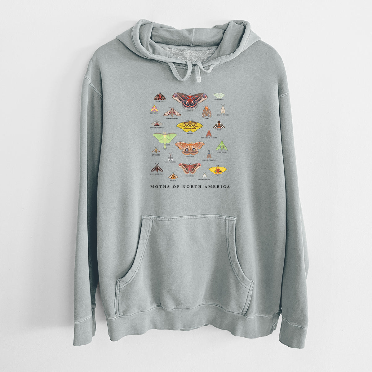 Sage green pigment dyed hoodie laid flat, printed with a full-color chart of North American moths, each labeled with its species.
