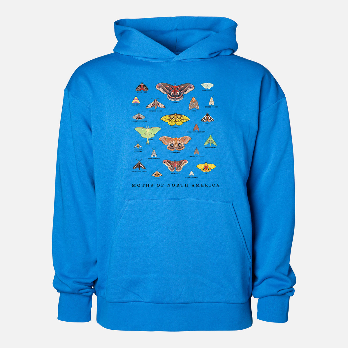 Moths of North America - Statement Midweight Hoodie in Azure Blue, shown from the front with the design printed on the chest above a front kangaroo pocket.