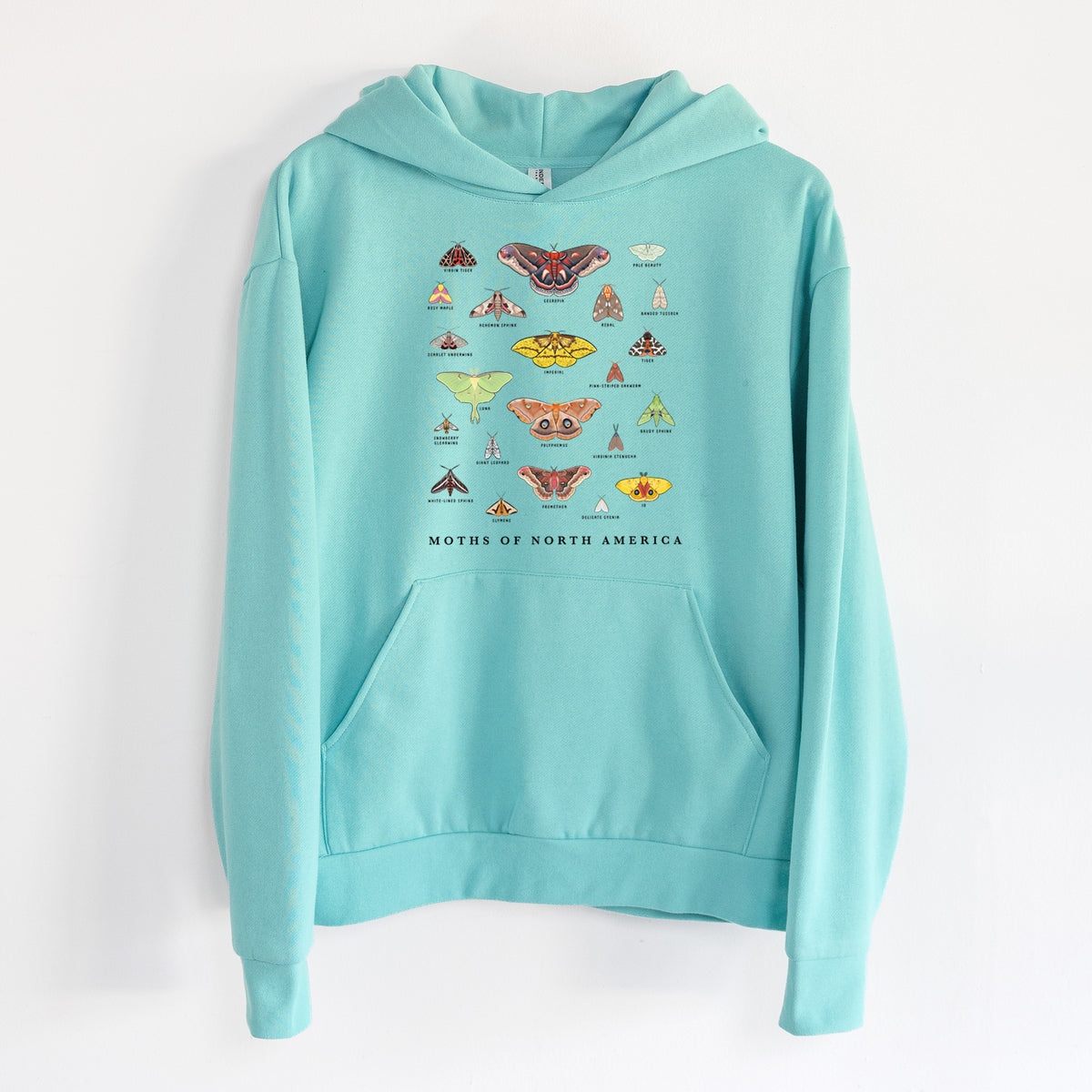 Moths of North America - Statement Midweight Hoodie in Seafoam, hanging on a white wall, with a front kangaroo pocket and no drawcords.