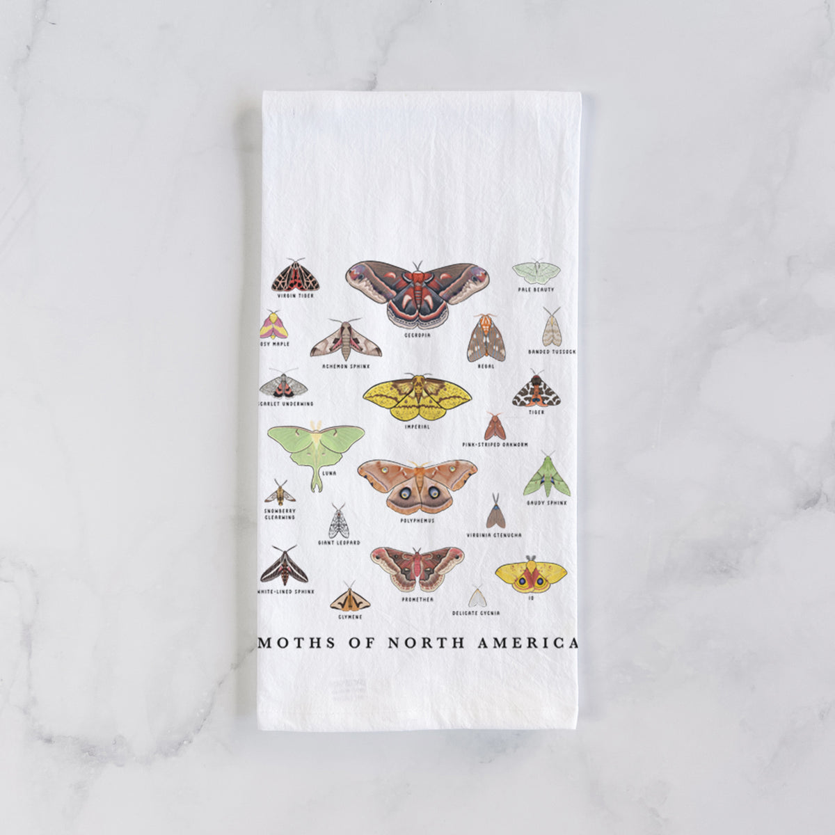 White cotton tea towel laid flat on marble, printed with a full-color chart of North American moths, each labeled with its species.