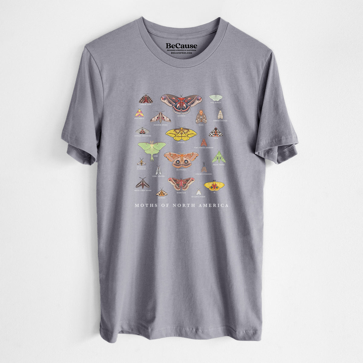 Storm grey lightweight cotton t-shirt laid flat, printed with a full-color chart of North American moths, each labeled with its species.