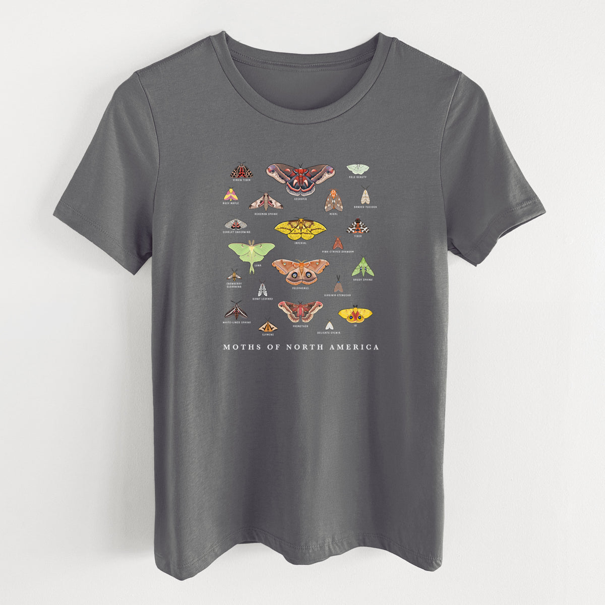 Asphalt women's relaxed fit cotton t-shirt laid flat, printed with a full-color chart of North American moths, each labeled with its species.
