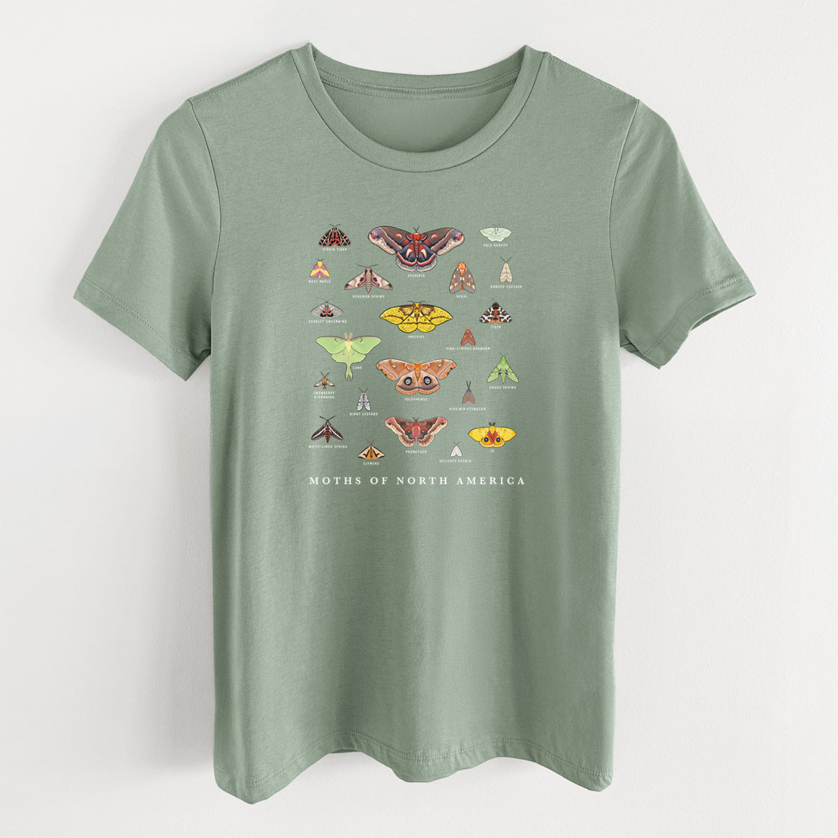 Sage green women's relaxed fit cotton t-shirt laid flat, printed with a full-color chart of North American moths, each labeled with its species.