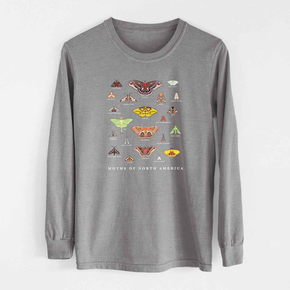 Grey Comfort Colors long sleeve shirt laid flat, printed with a full-color chart of North American moths, each labeled with its species.
