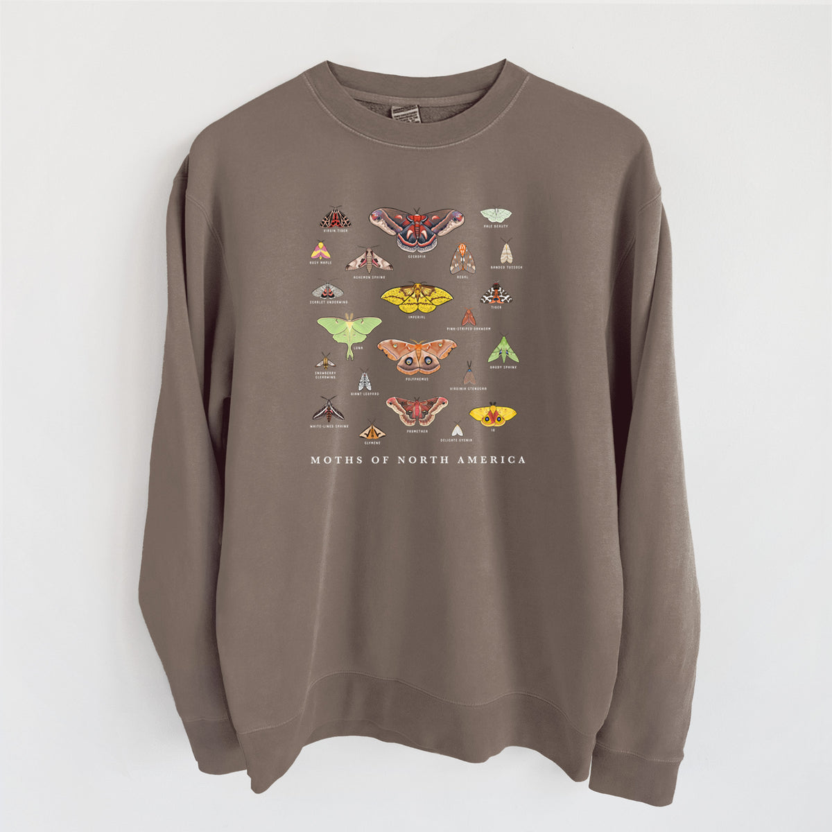 Moths of North America - Unisex Pigment Dyed Crew Sweatshirt in Espresso color