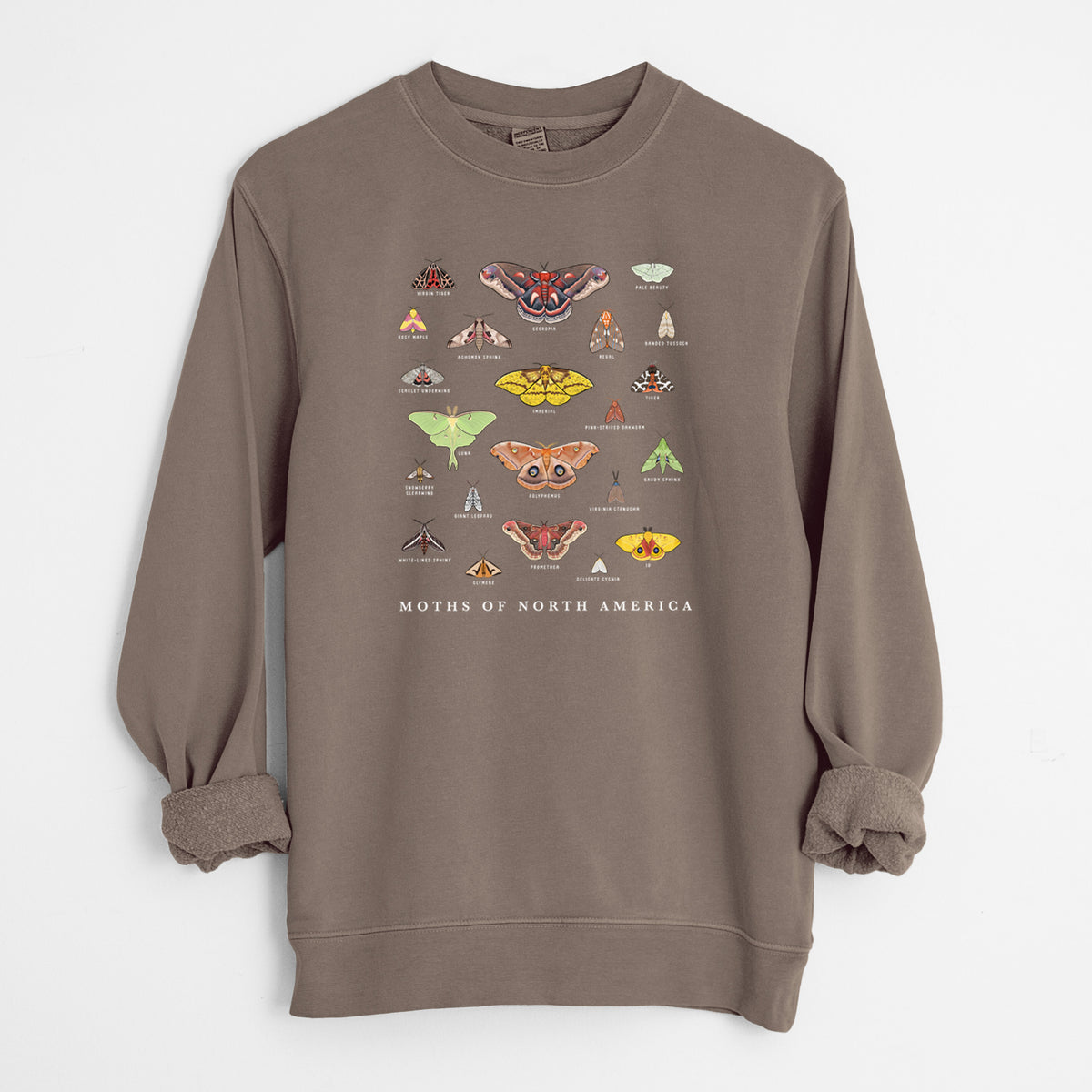 Moths of North America - Unisex Pigment Dyed Crew Sweatshirt in Espresso color