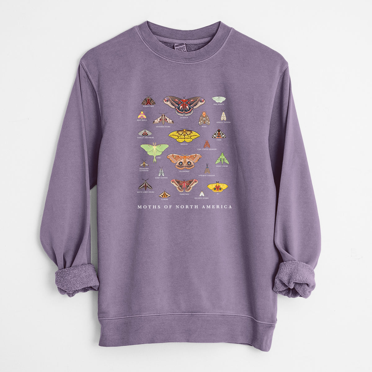 Moths of North America - Unisex Pigment Dyed Crew Sweatshirt in Plum