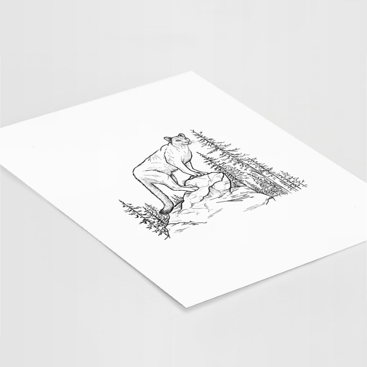 Art print of a black ink illustration of a mountain lion standing on a rocky ledge among pine trees, lying at an angle on a white surface.