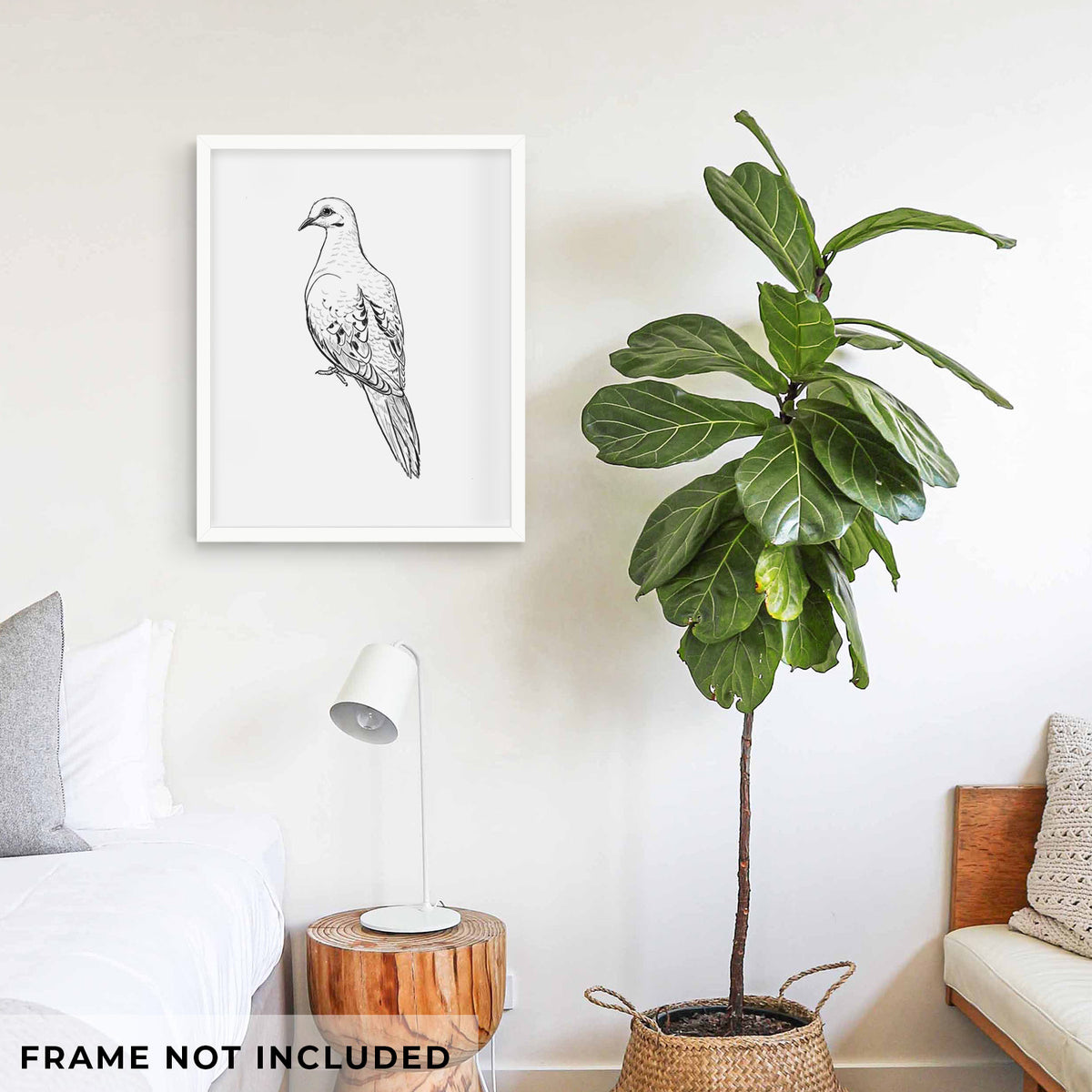 Art print of a detailed black ink sketch of a mourning dove perched, shown framed on a living room wall beside a potted plant. Frame not included.