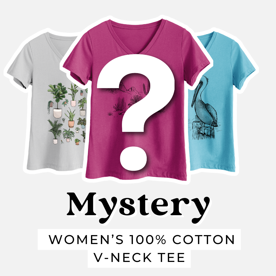 Product photo of the BeCause Tees T-shirt Mystery Grab Bag.