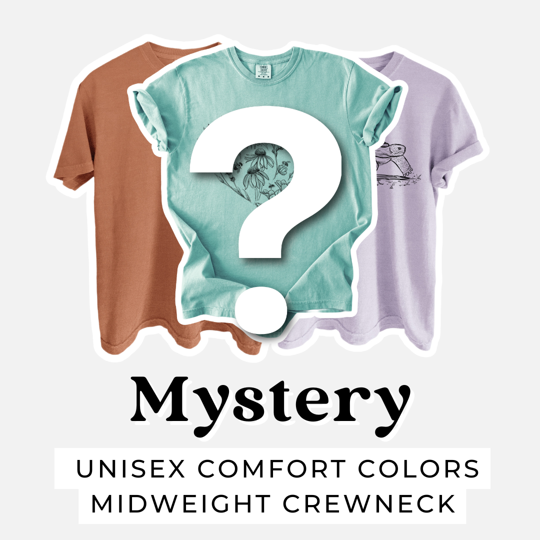 Mystery grab bag with a surprise selection of tees in assorted colors and designs.
